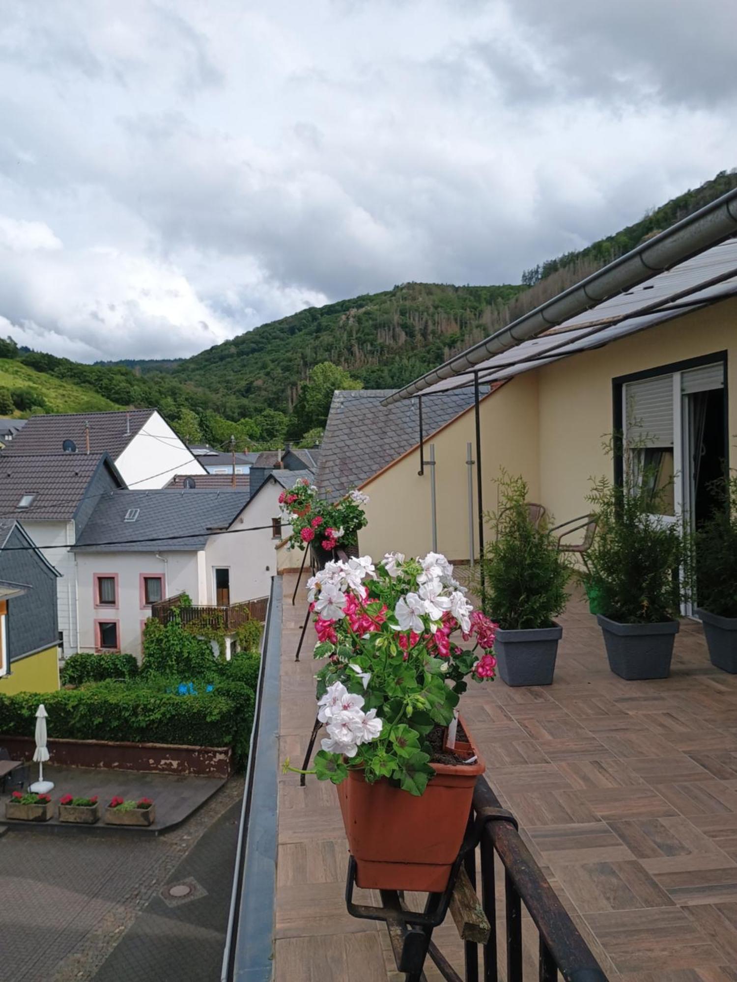 Gasthof Zur Grafschaft Veldenz Hotel Exterior photo