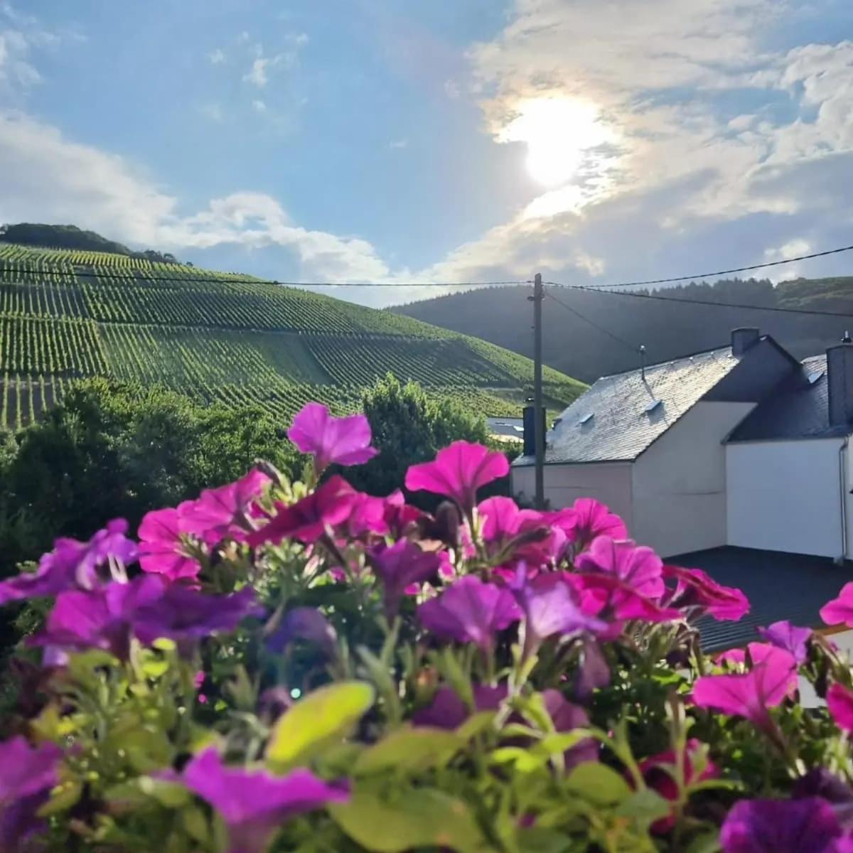 Gasthof Zur Grafschaft Veldenz Hotel Exterior photo